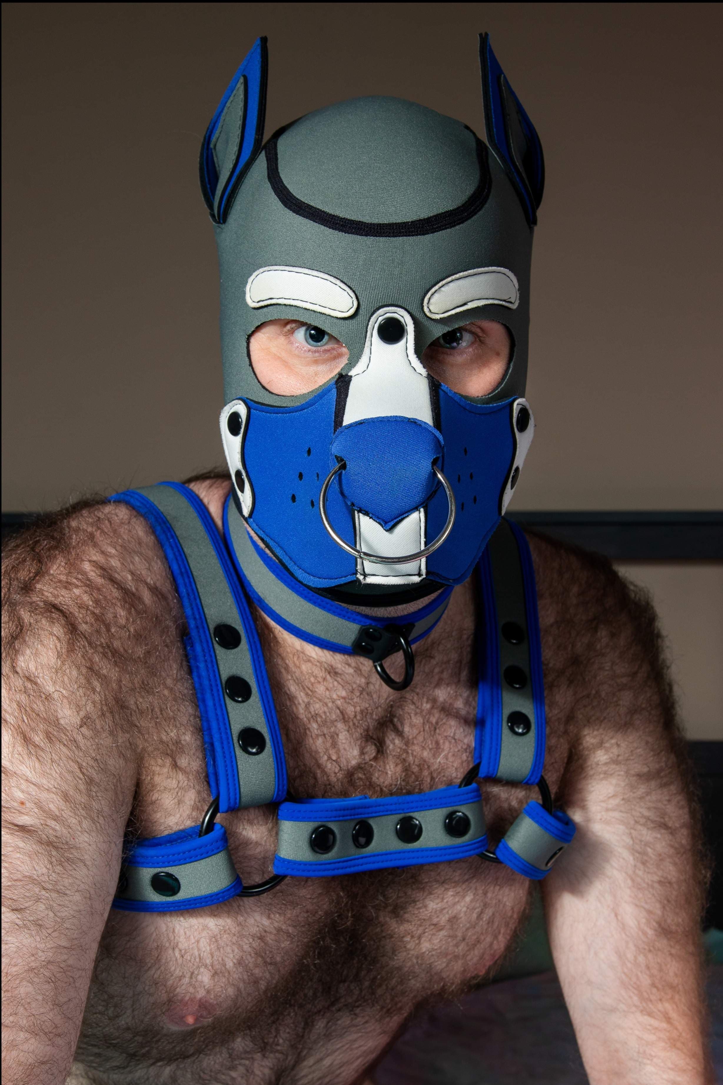 Alpha Pup Blue