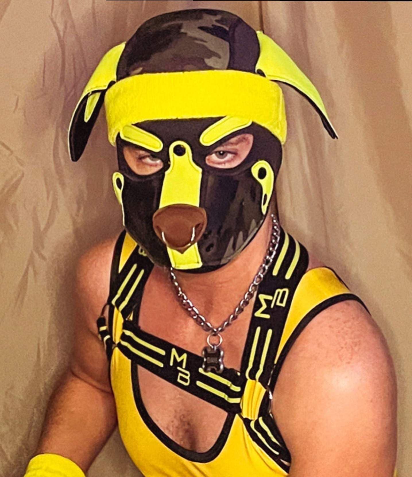 Pup Evans