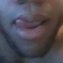 Ant