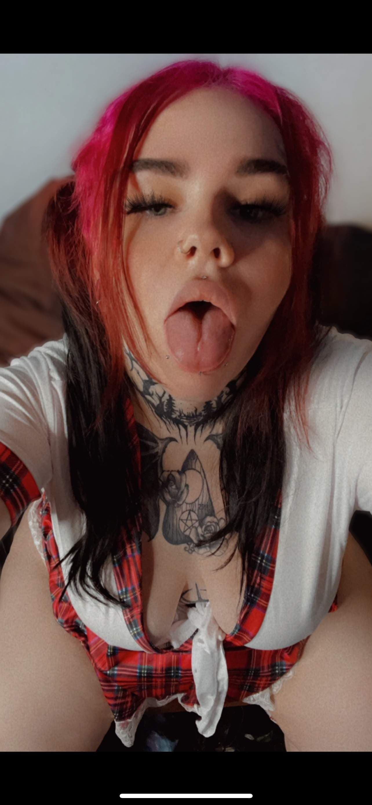 Alara Holly