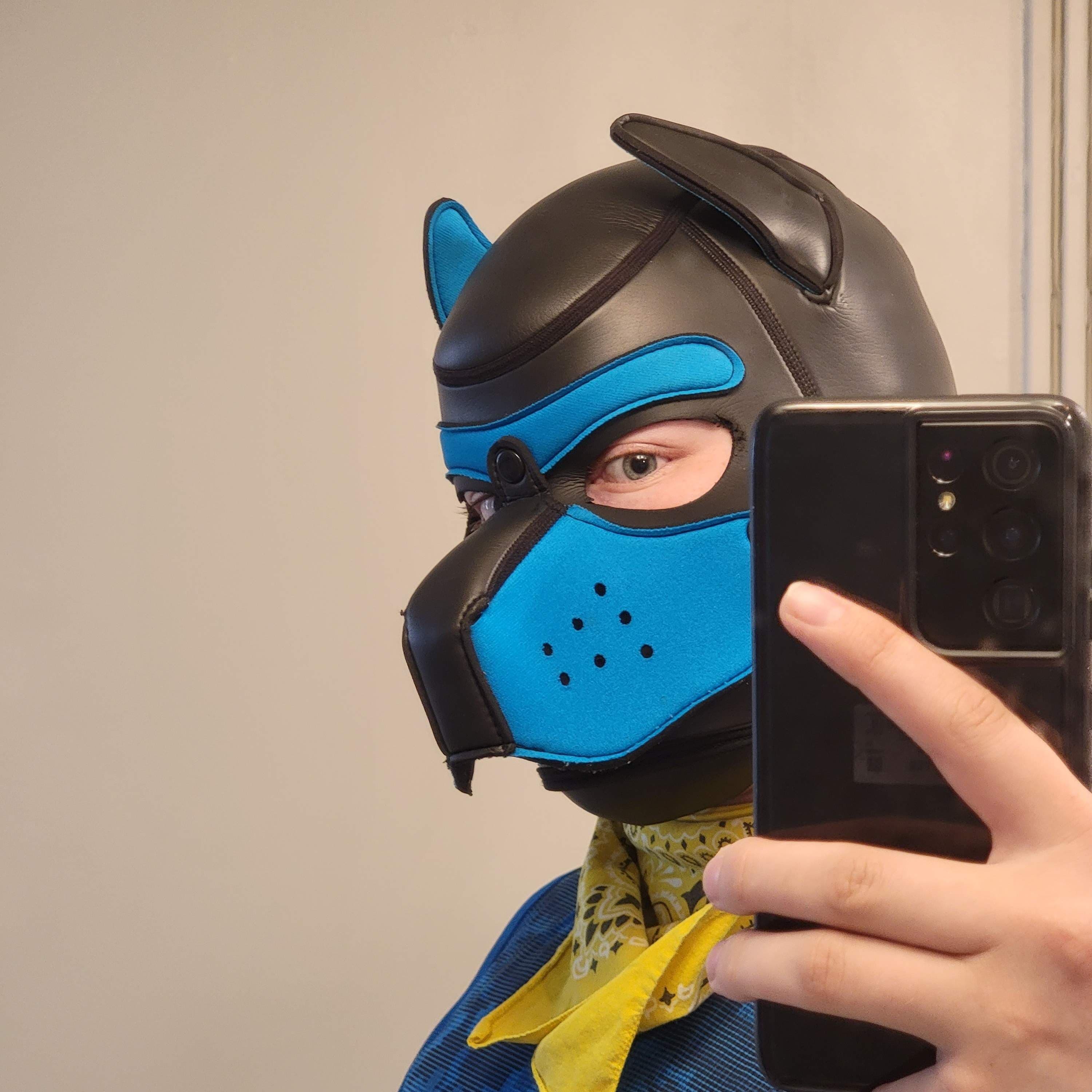 Pup Mystery