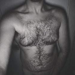 Bottom Teddy Bear