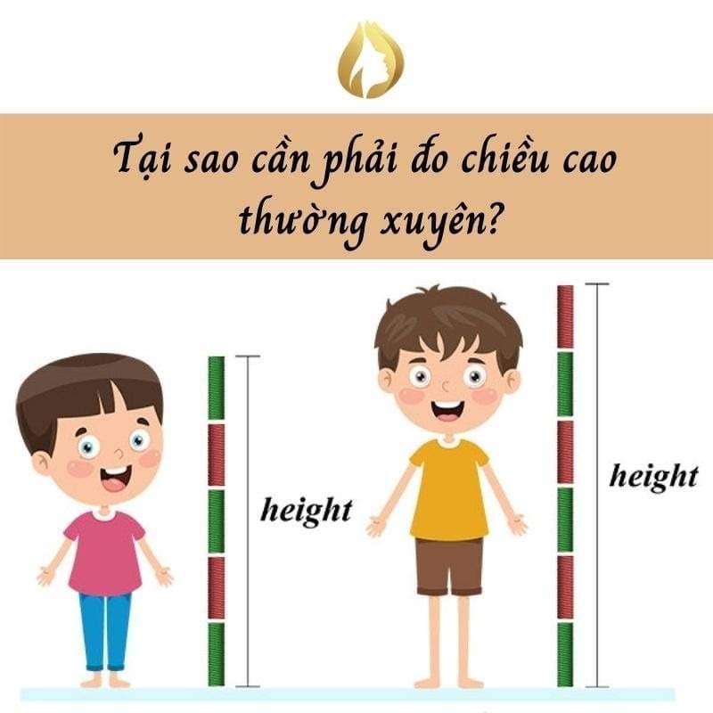 DRSPA Cách Đo Chiều Cao
