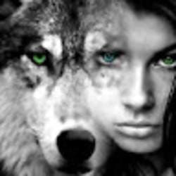 The Black Cat Studio Project Lone Wolf productions