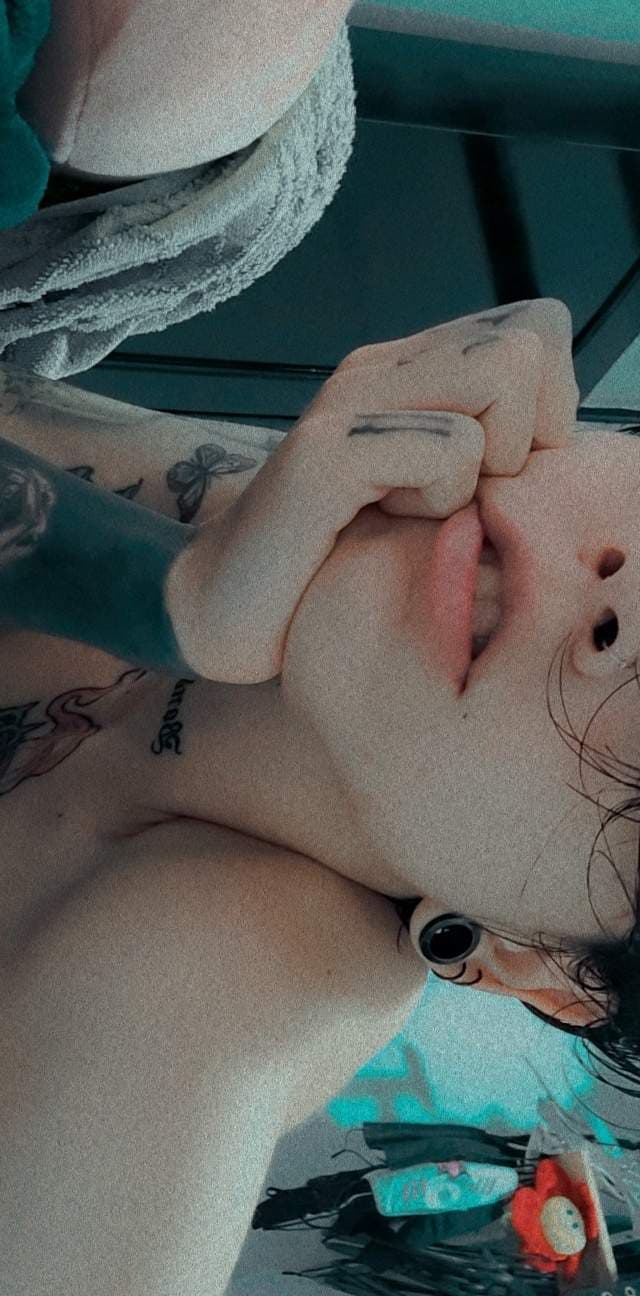Katt V