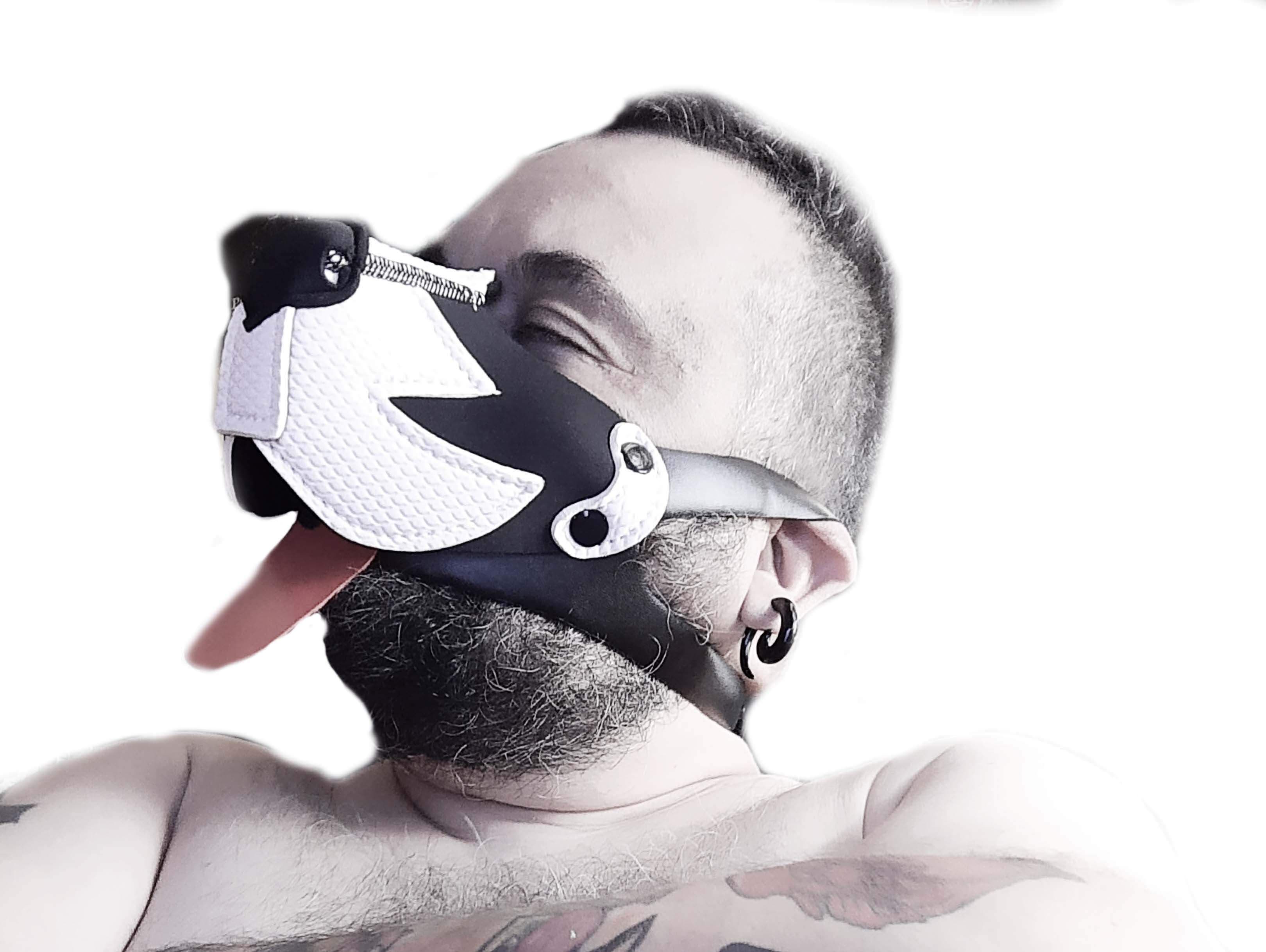 BEAR INSIDE VIP