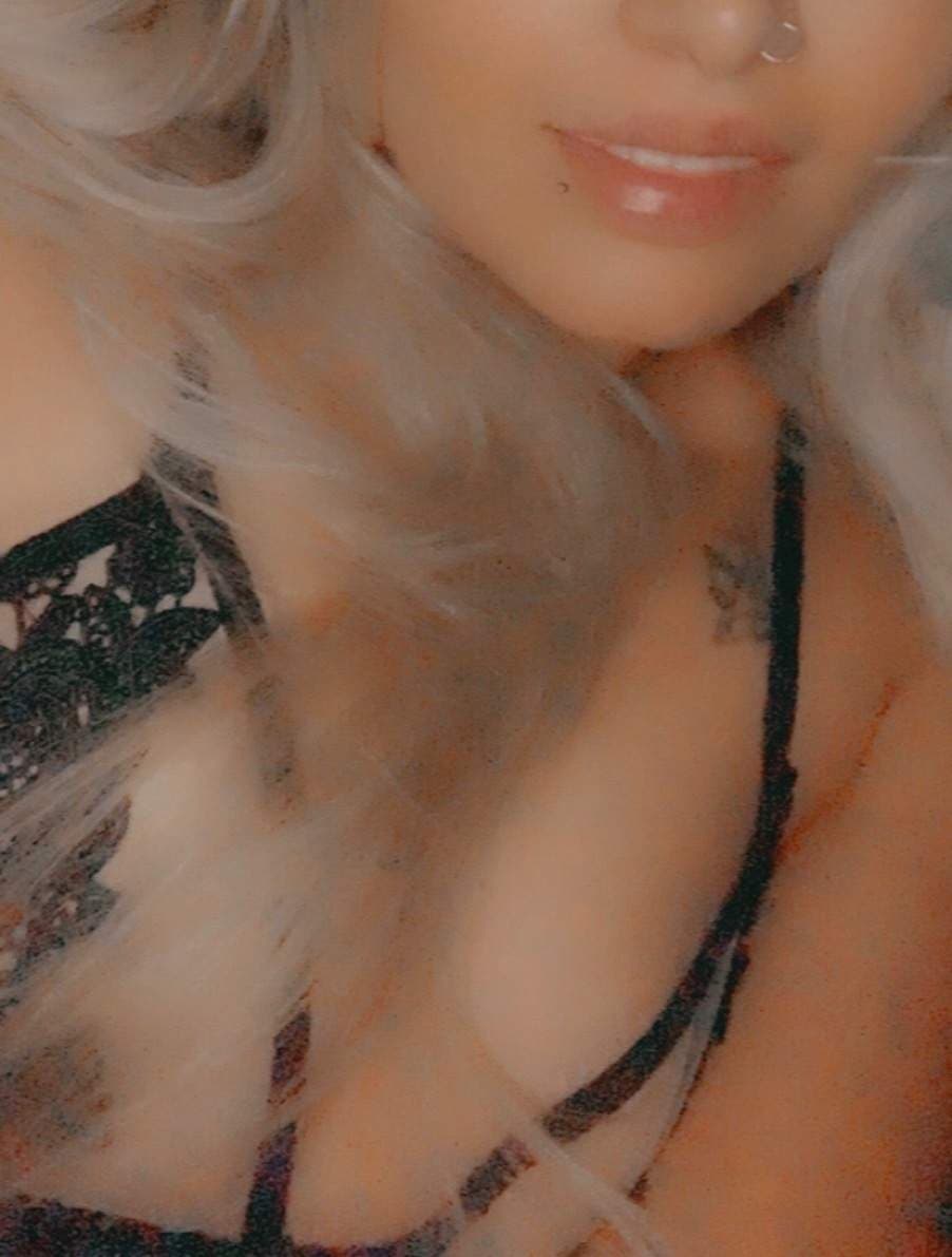 Blonde bear