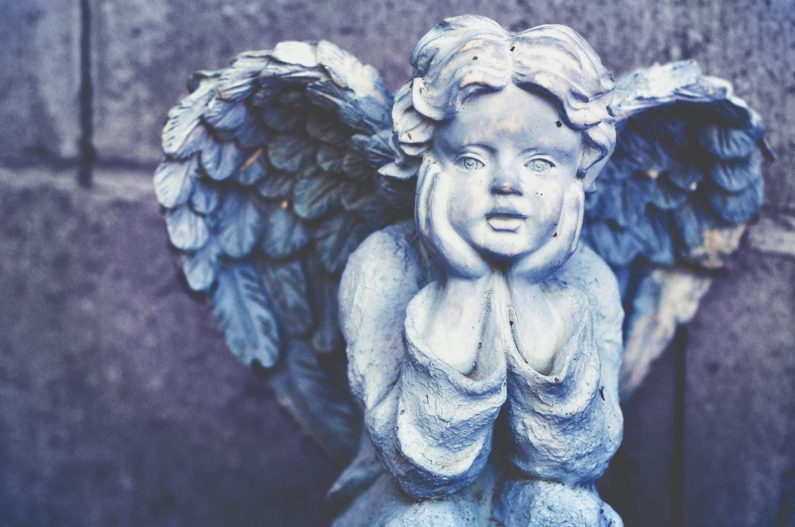 Zaddy Angels