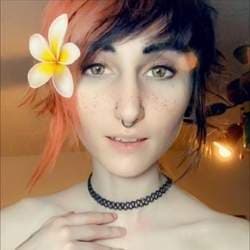 shrimpet