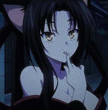 kitten