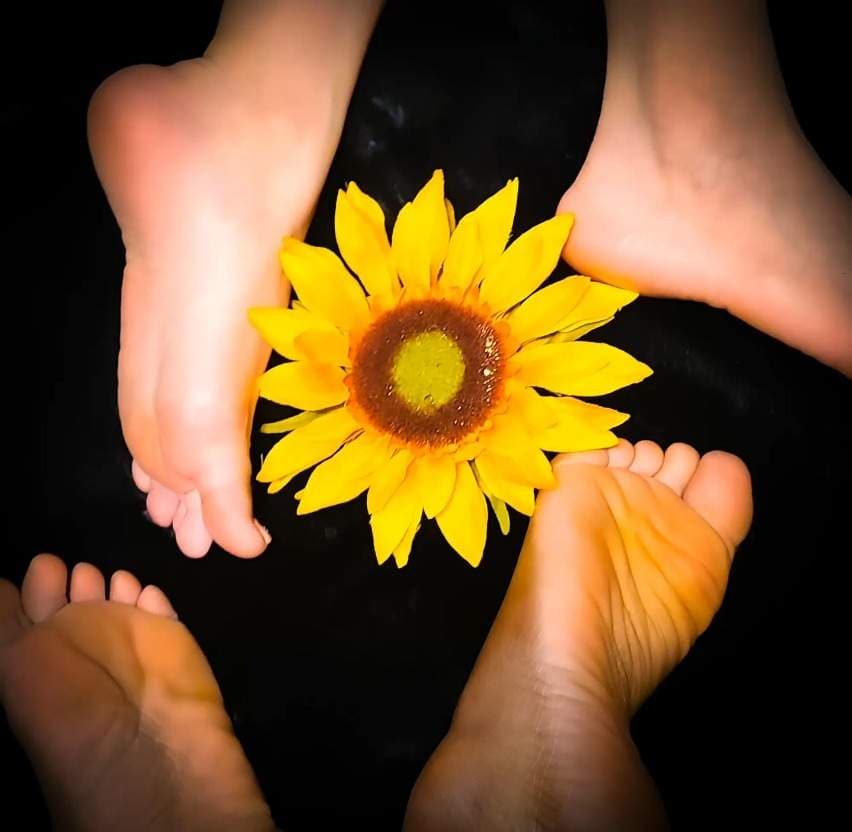 TheSirenSoles