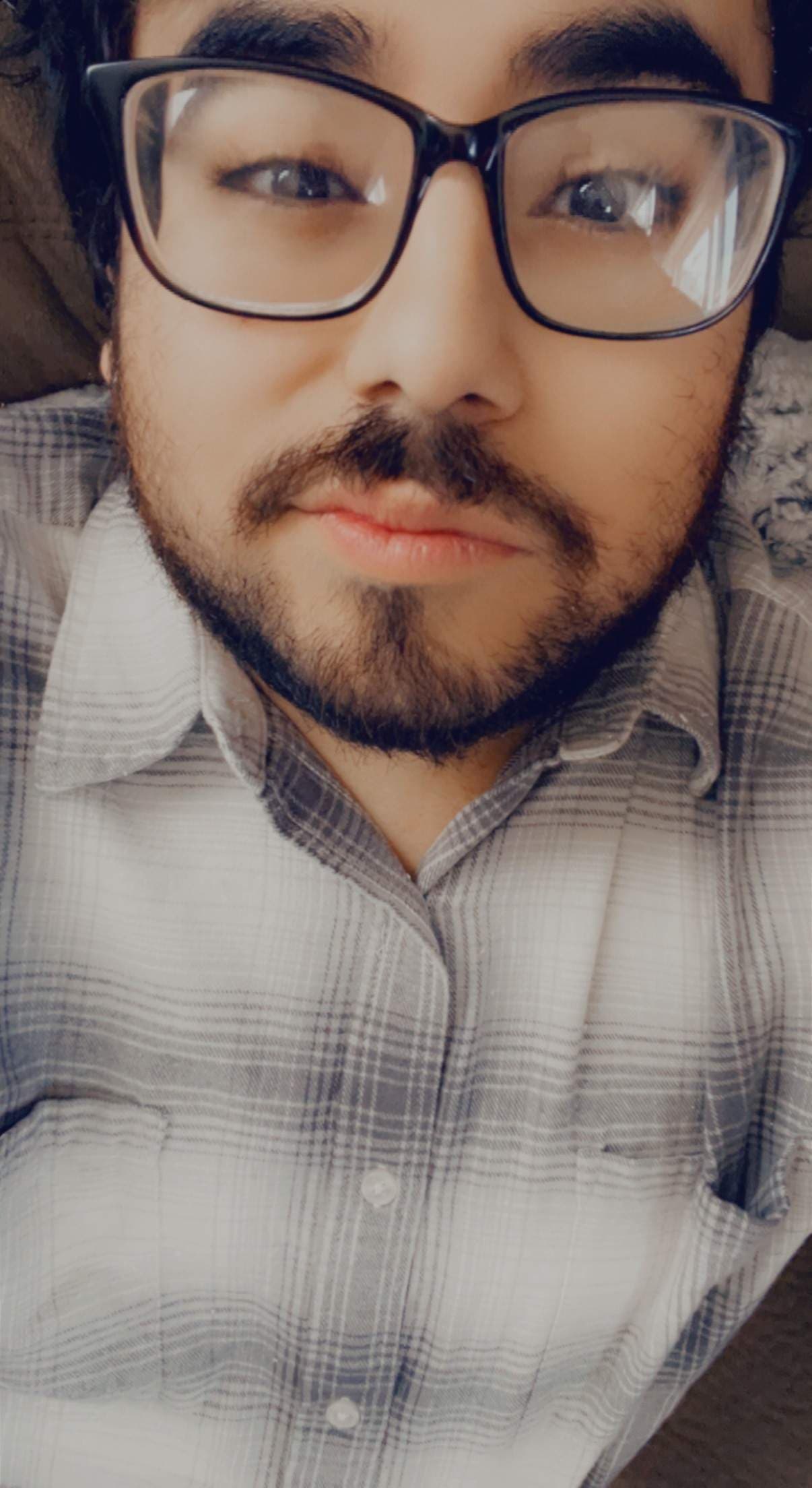 Mr_Raven