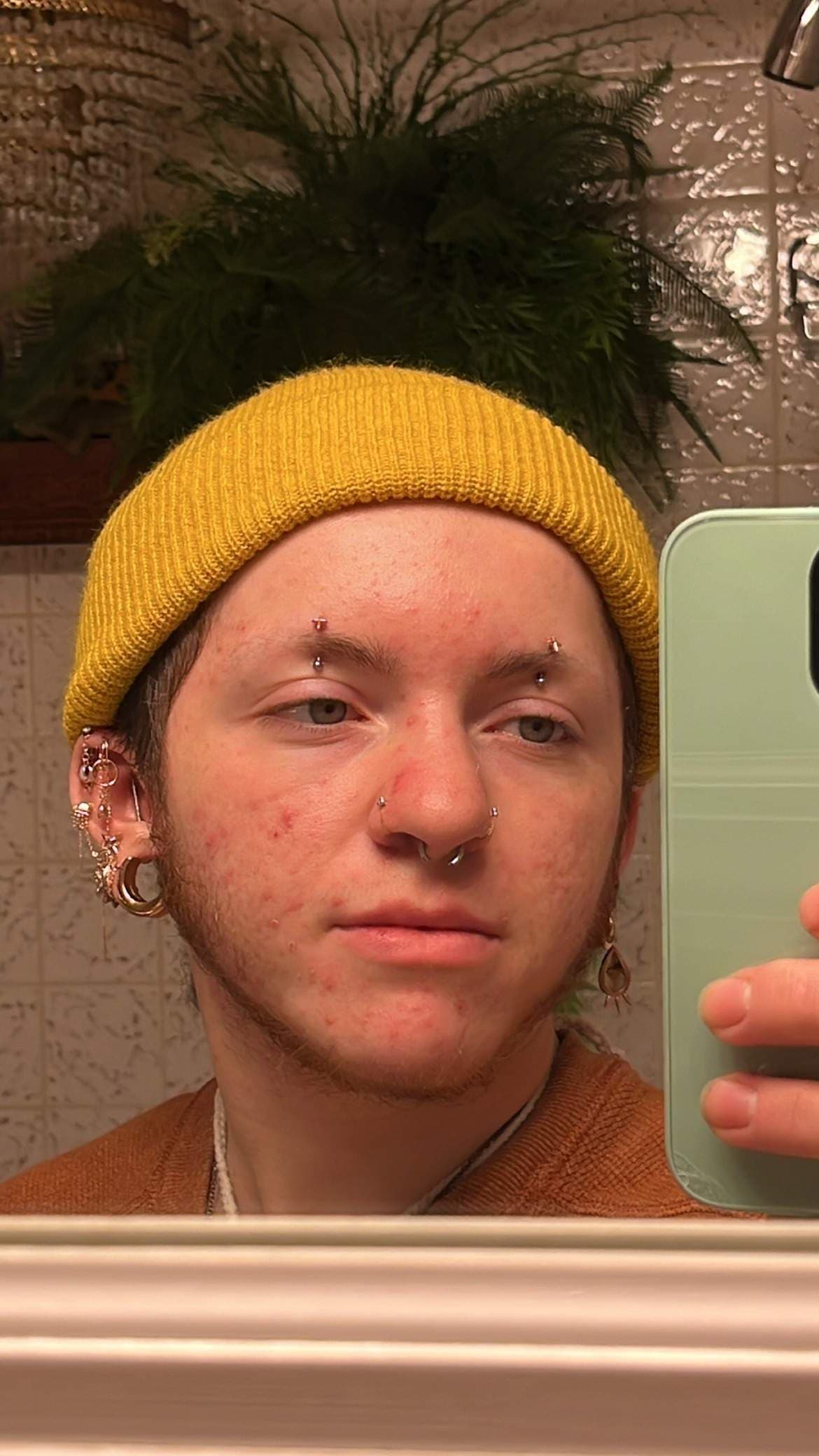 kade acacias