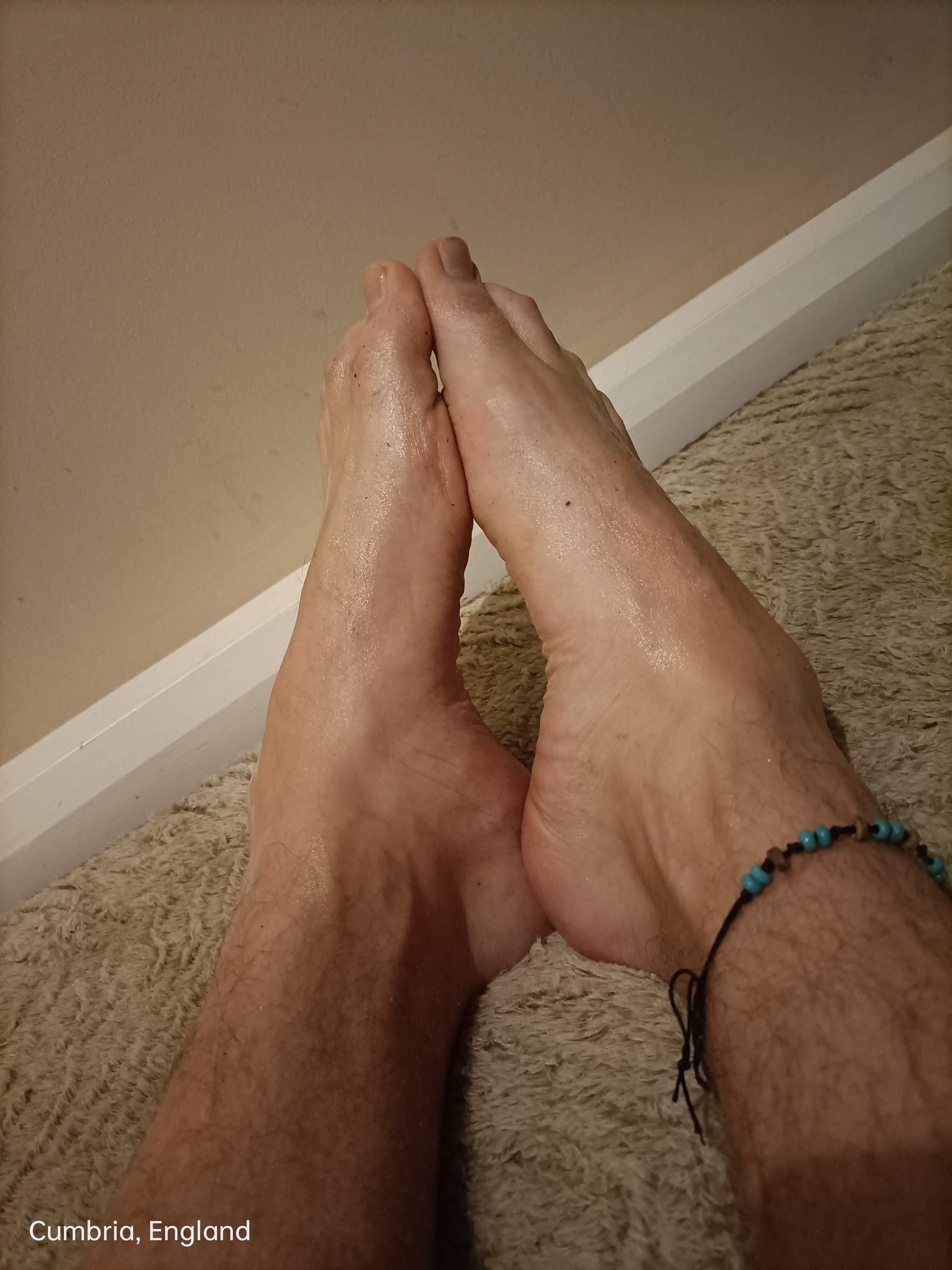 Mr Silktoes