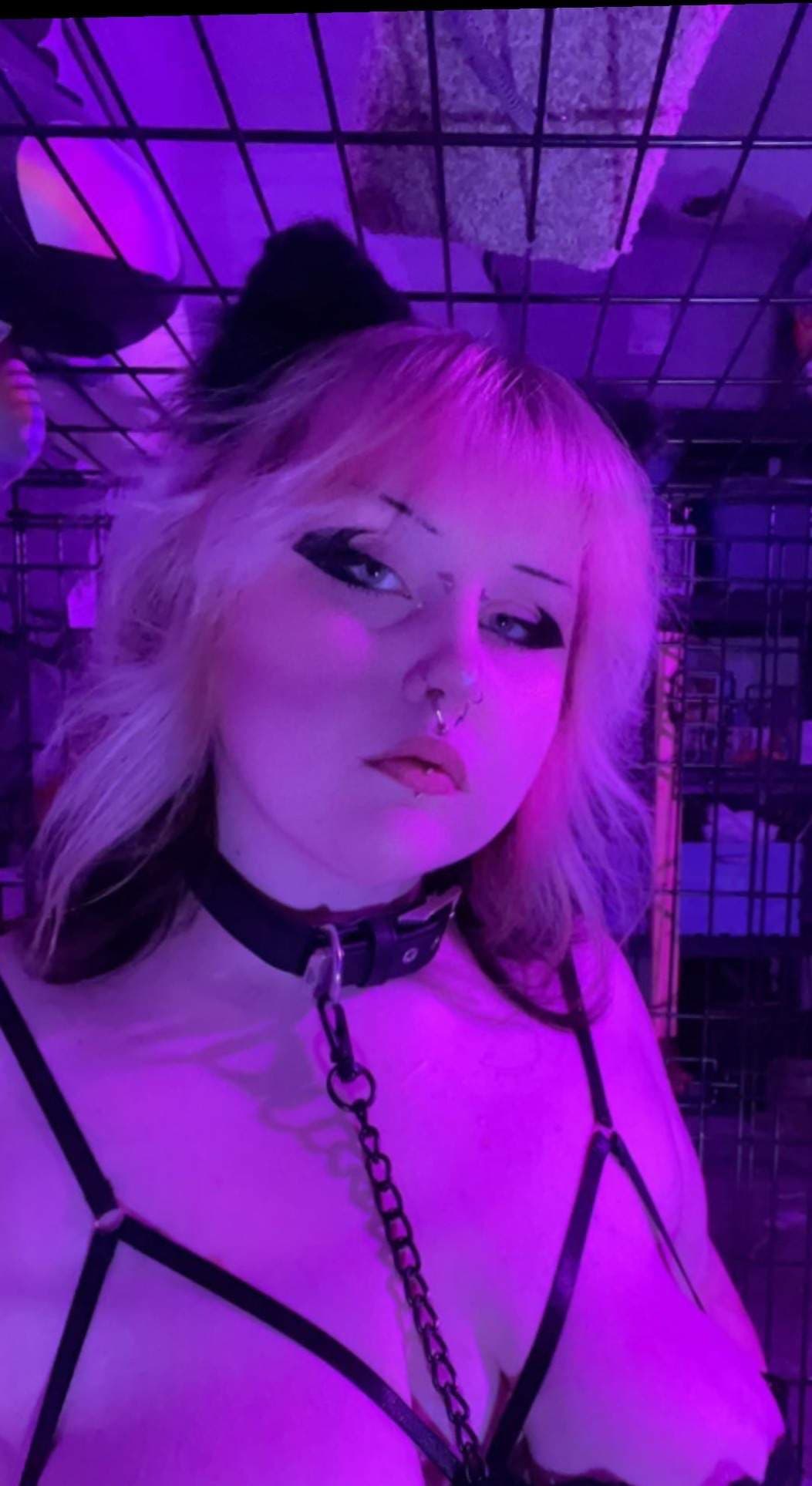 Aisling Moth
