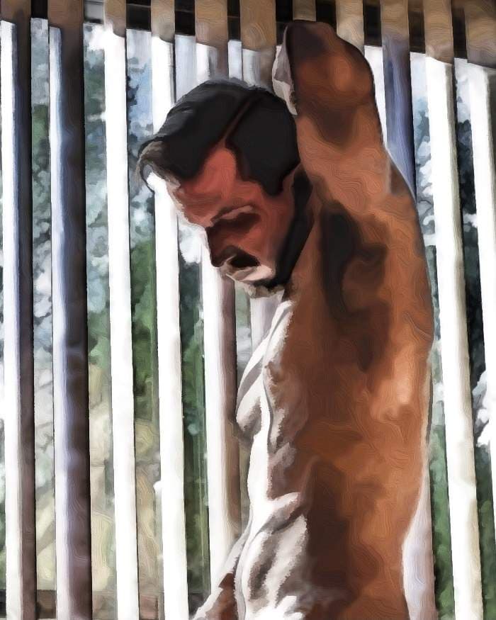 Sex Stallion