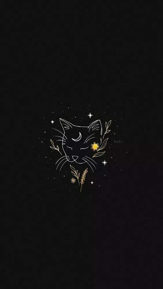 Venus Moon