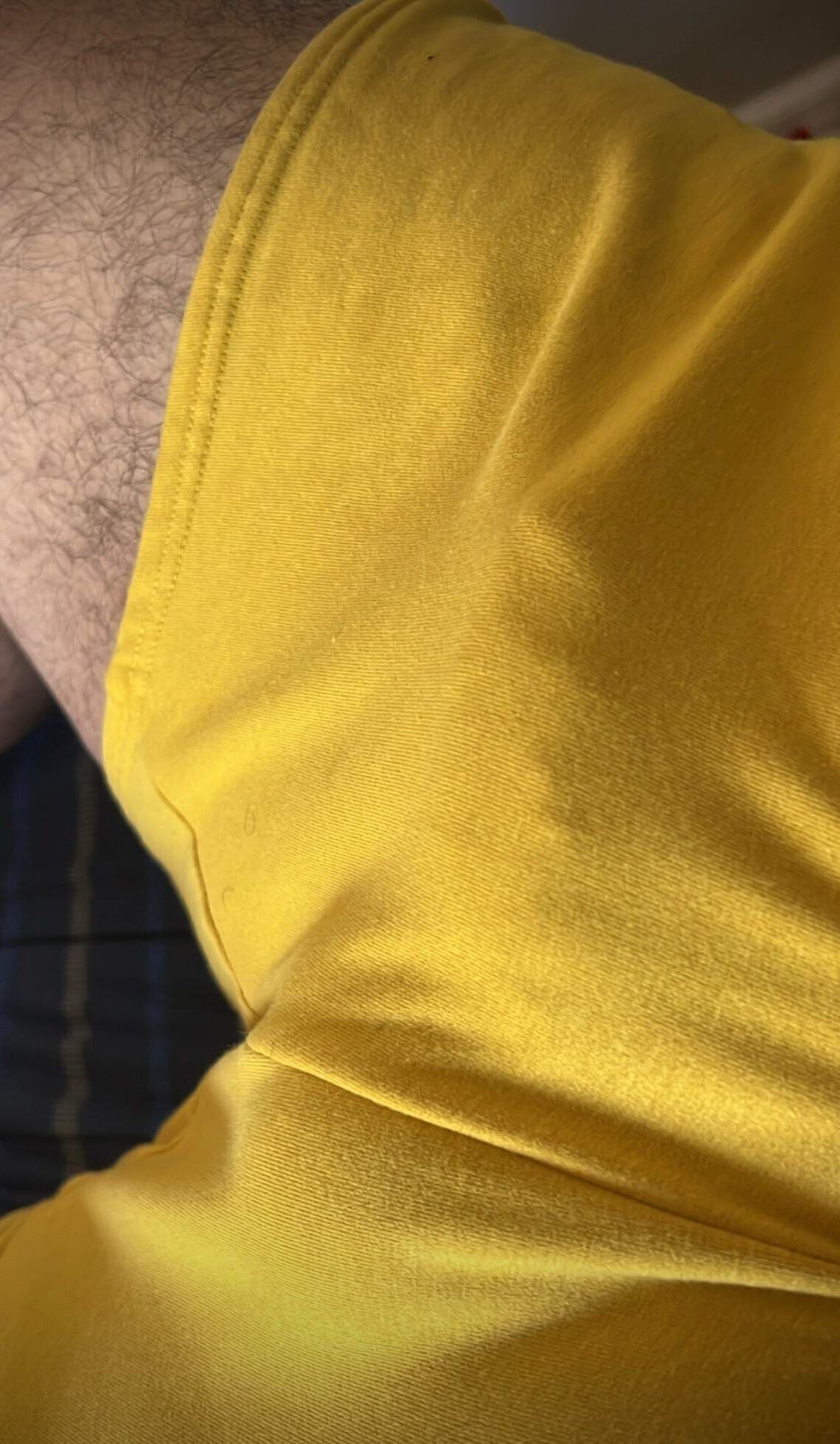 ThickDingo