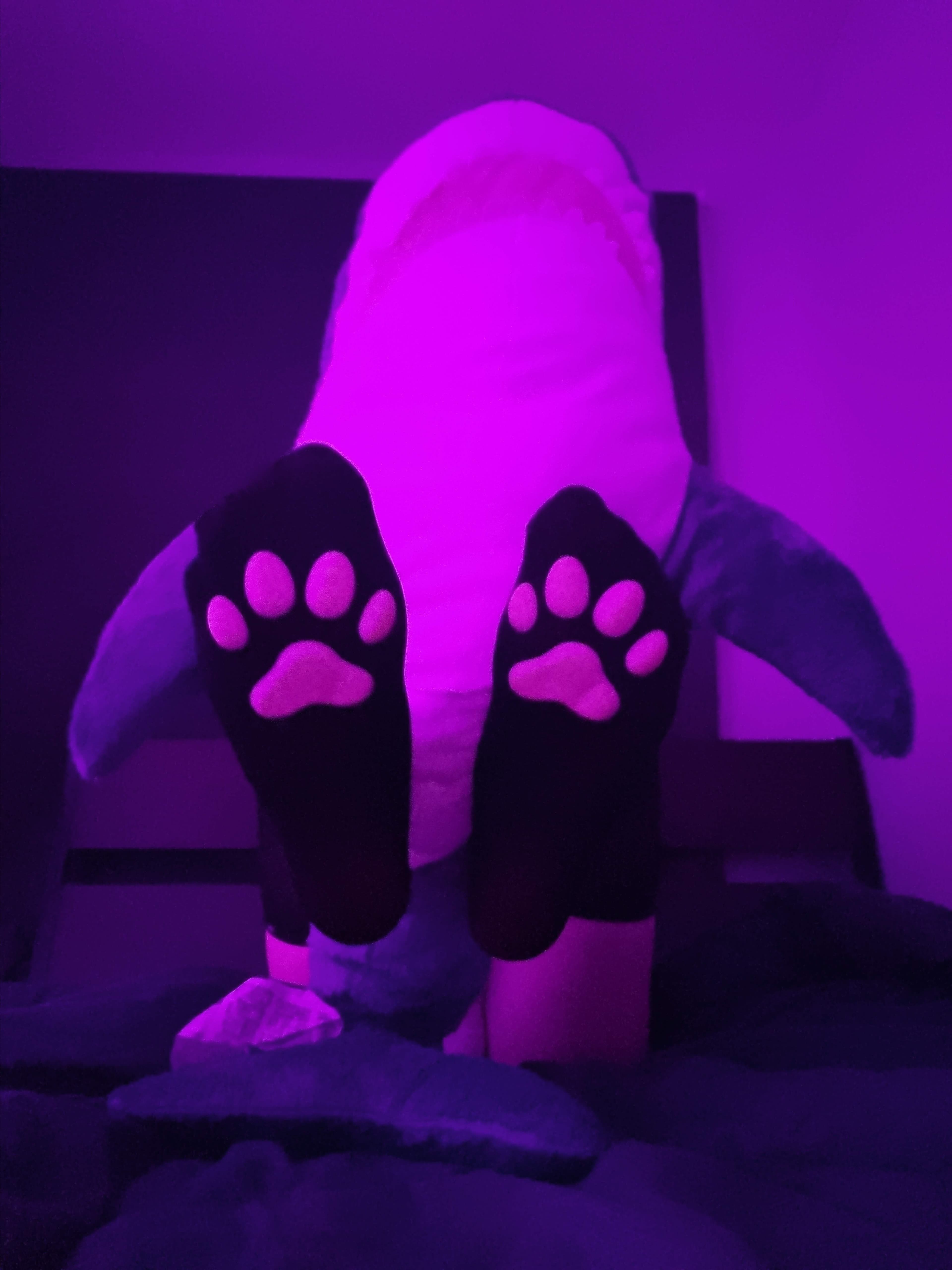 CutieConnor