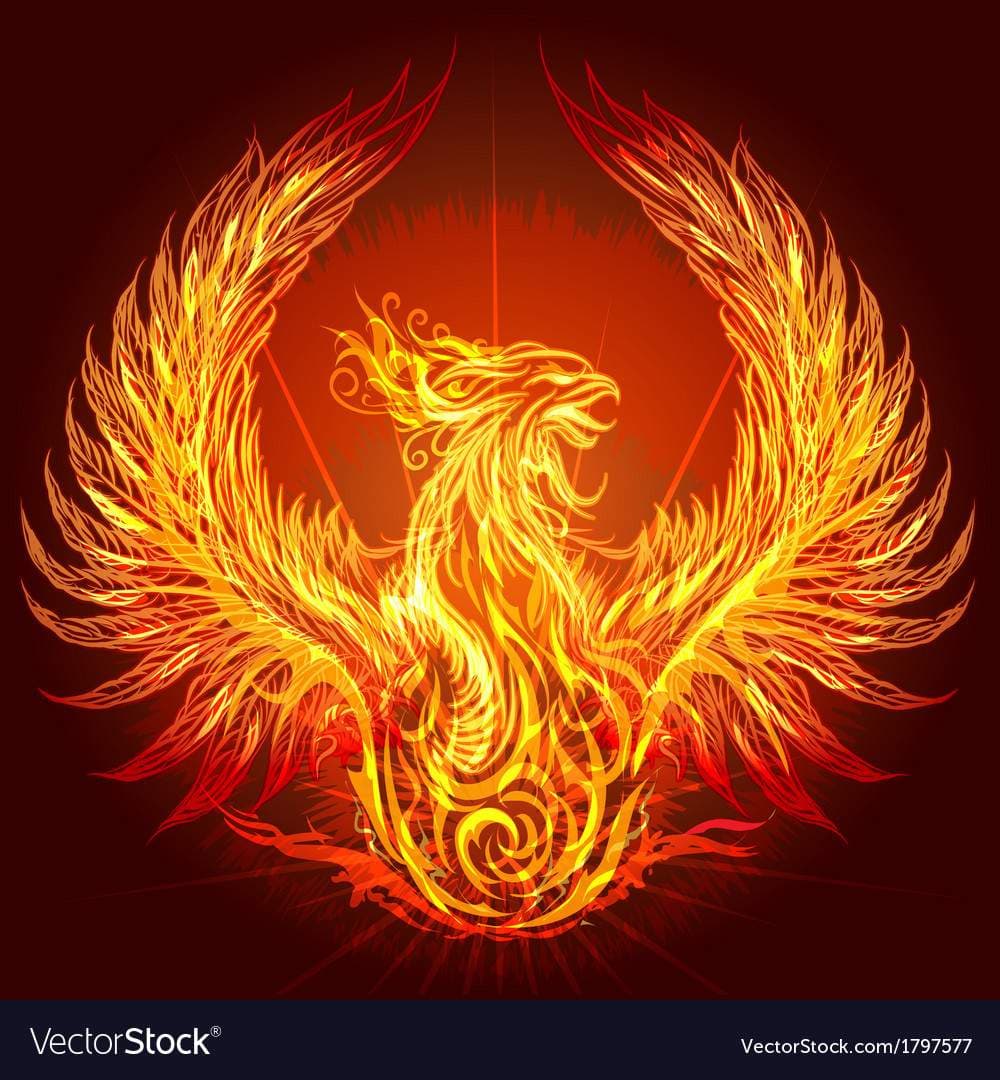 The Dark Bird of Light