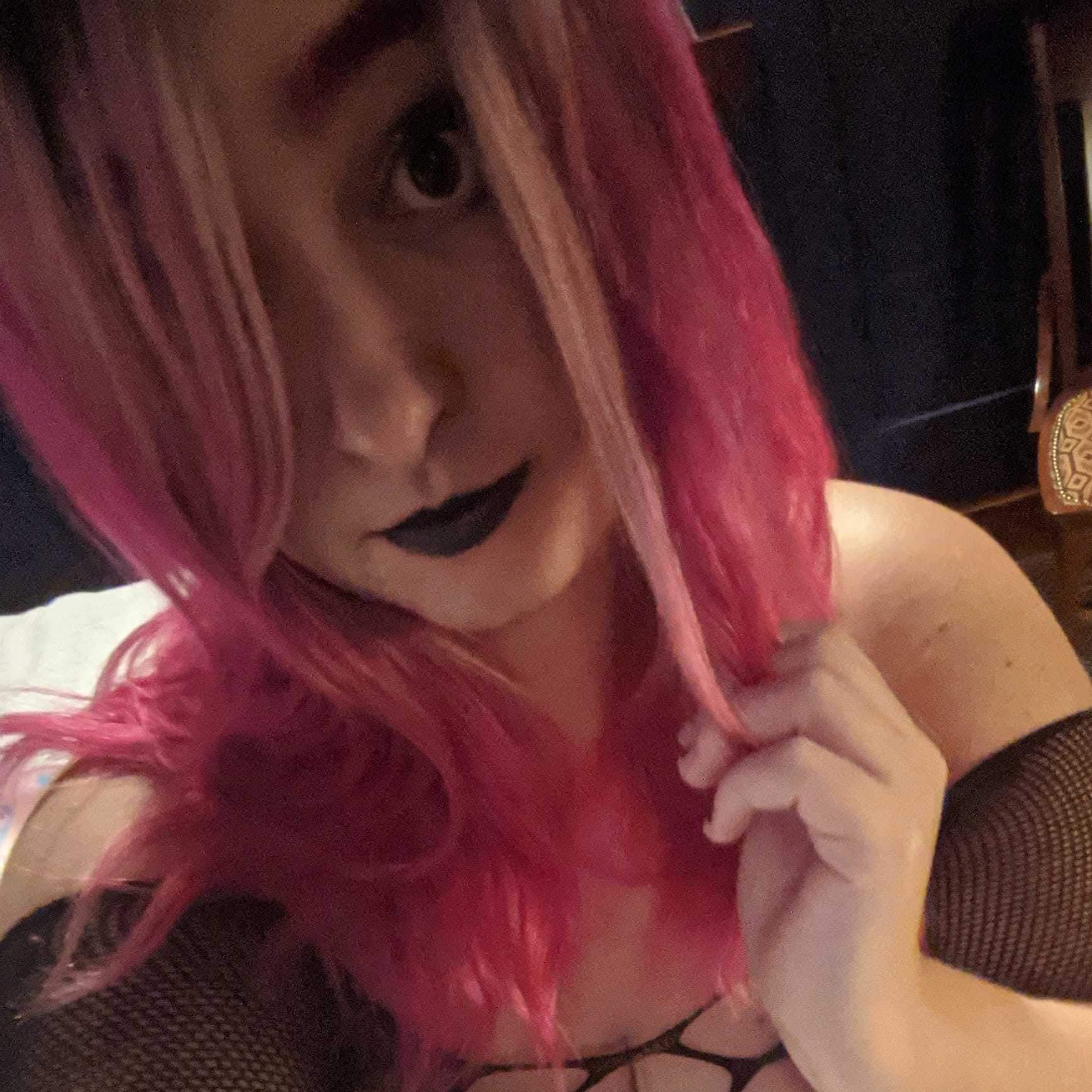 Bunny