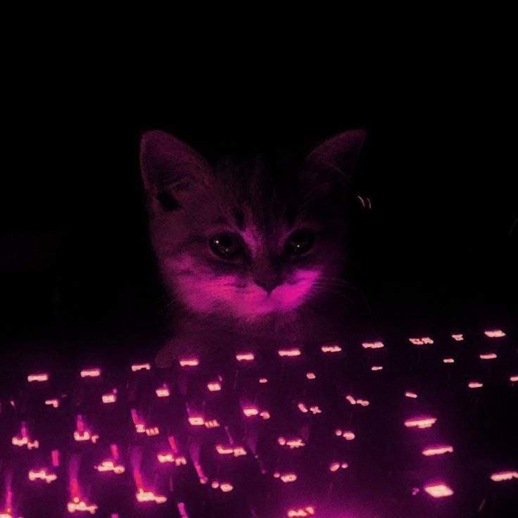 Cassiе💗