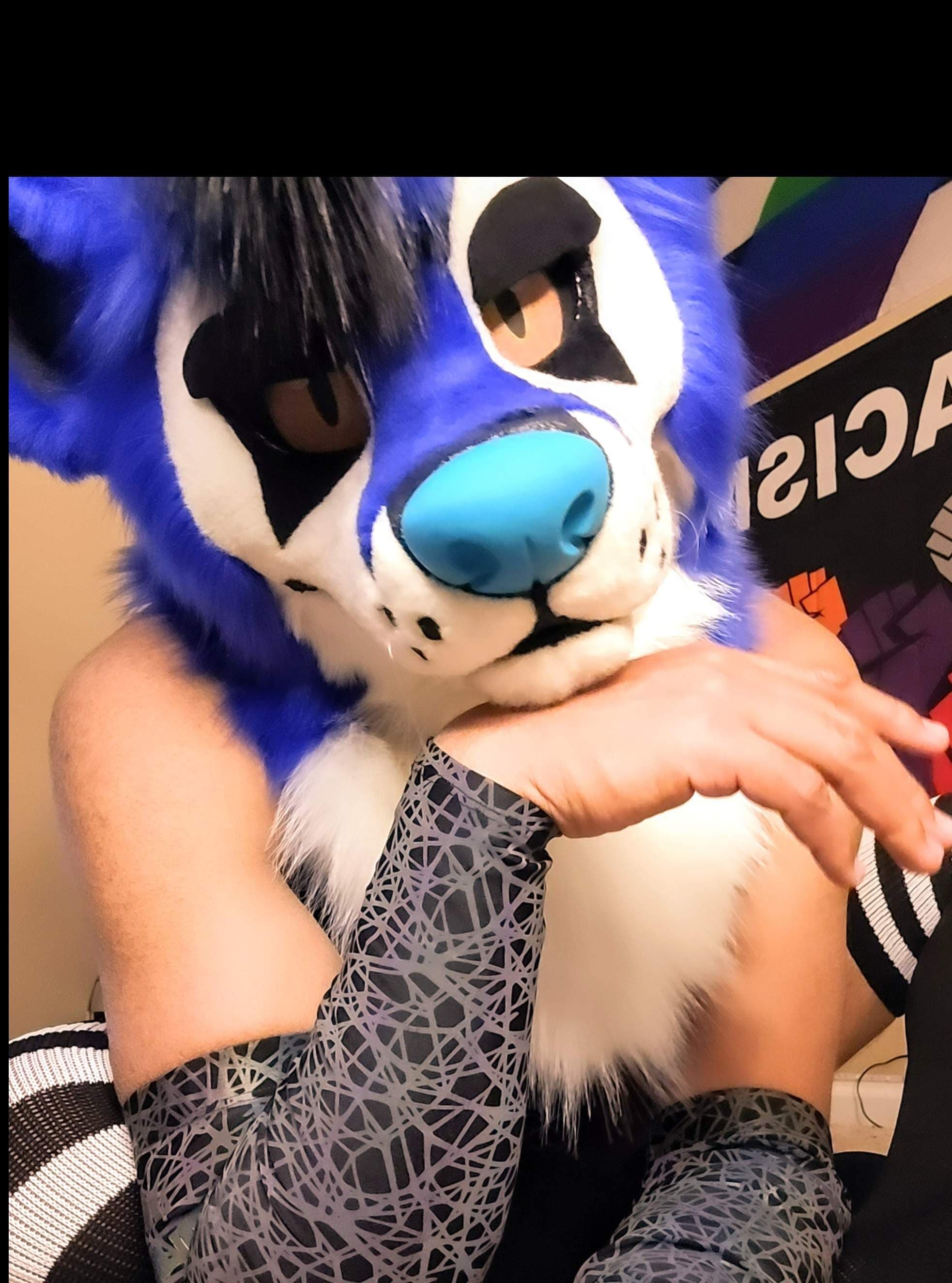SubbyFolf932