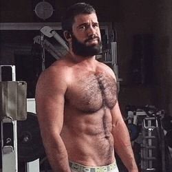 The Alpha Dad