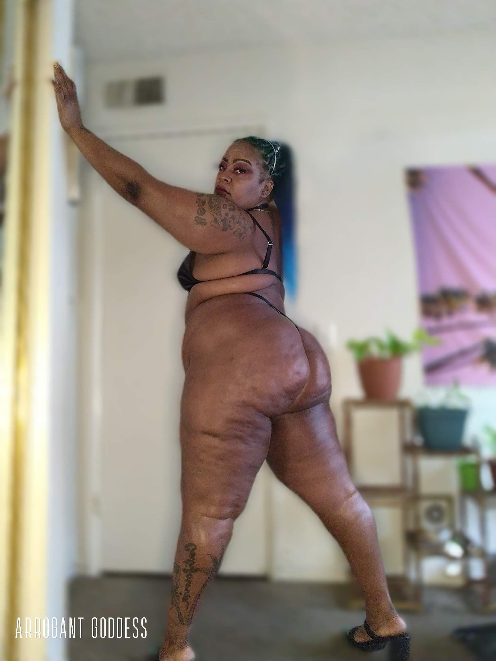 Arrogantgoddessfree