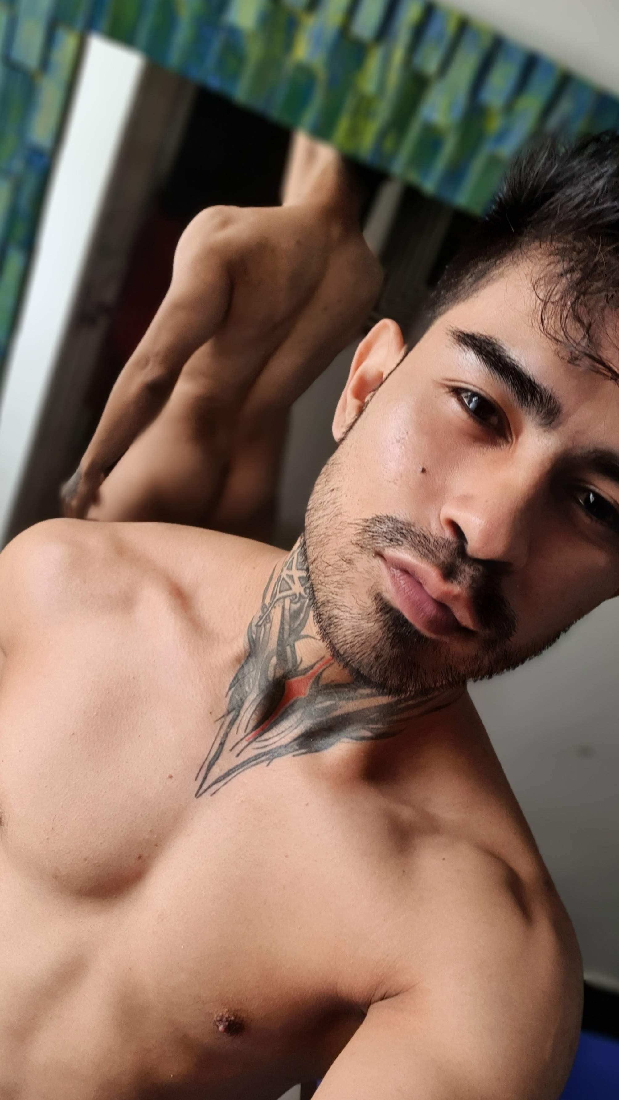 Stephanosverentt