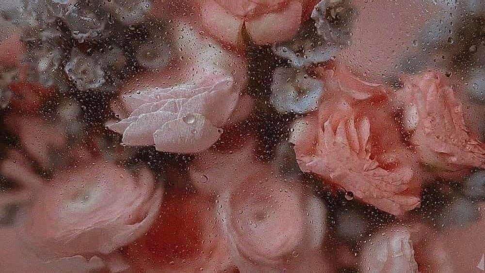 𝖆𝖚𝖗𝖔𝖗𝖆 ˚₊‧꒰ა❤︎໒꒱ ‧₊