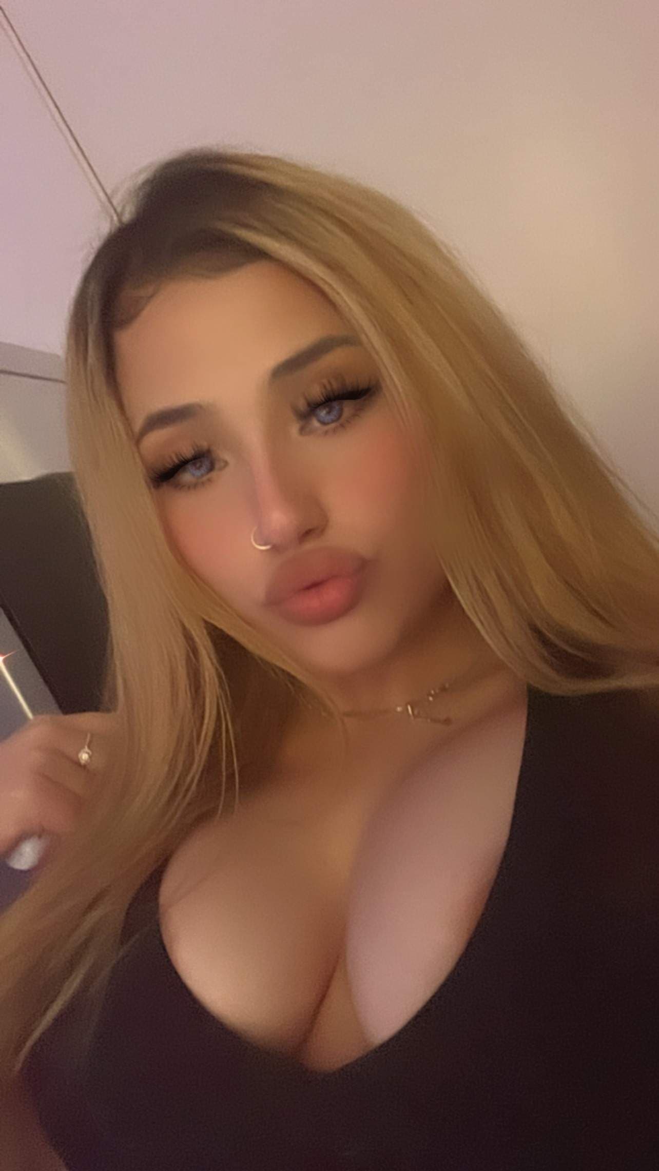 PERSIA BARBIE🧚🏼‍♀️🐱