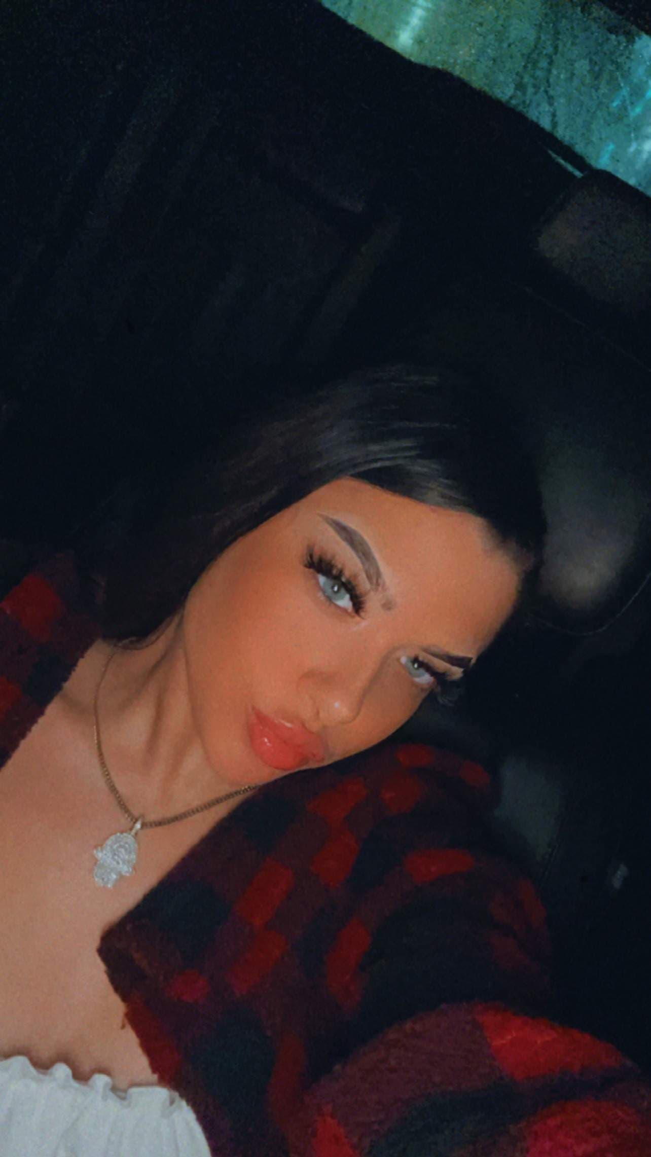 Holylanii