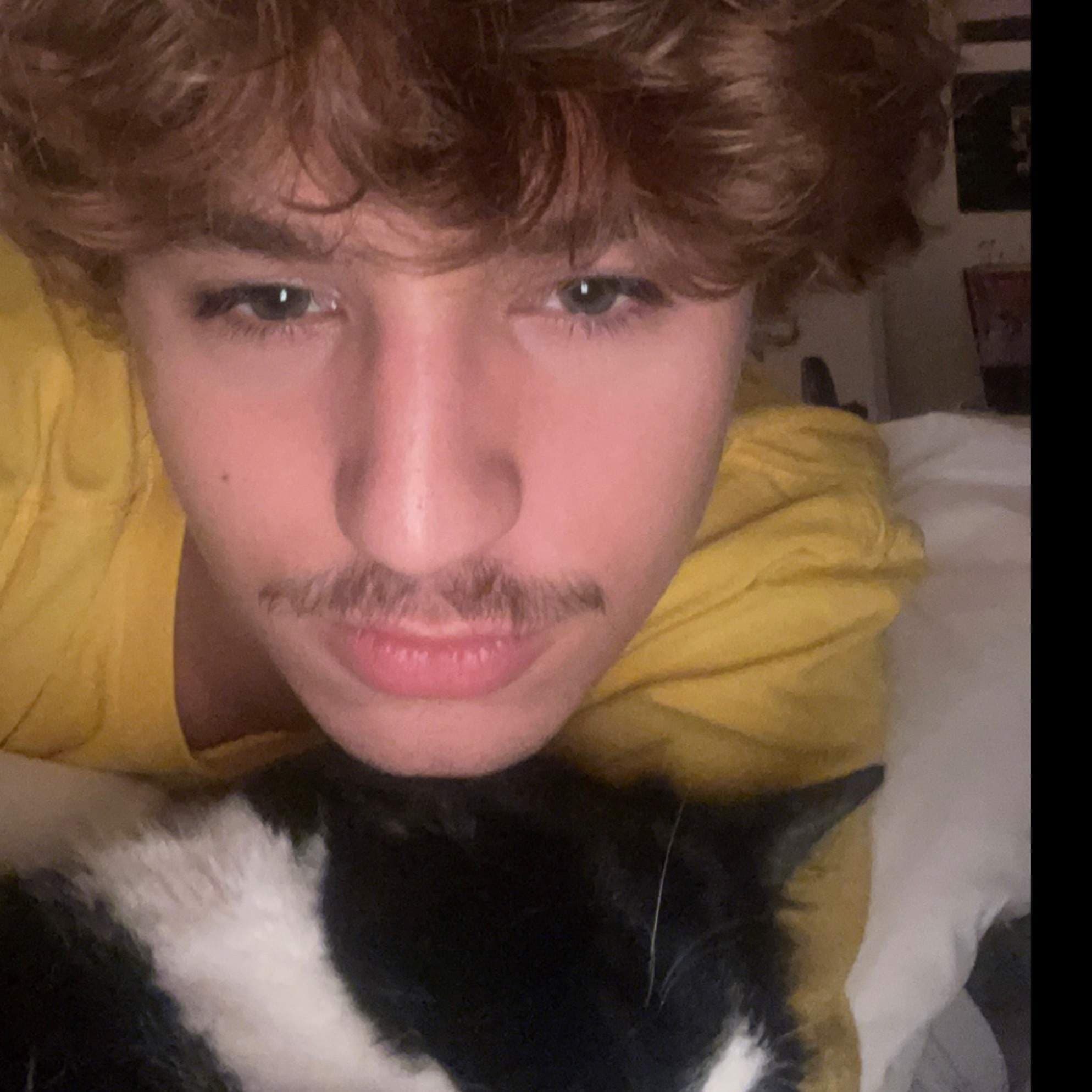Dylan
