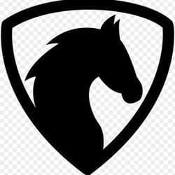 ♠️BLACK🎱HORSE♠️