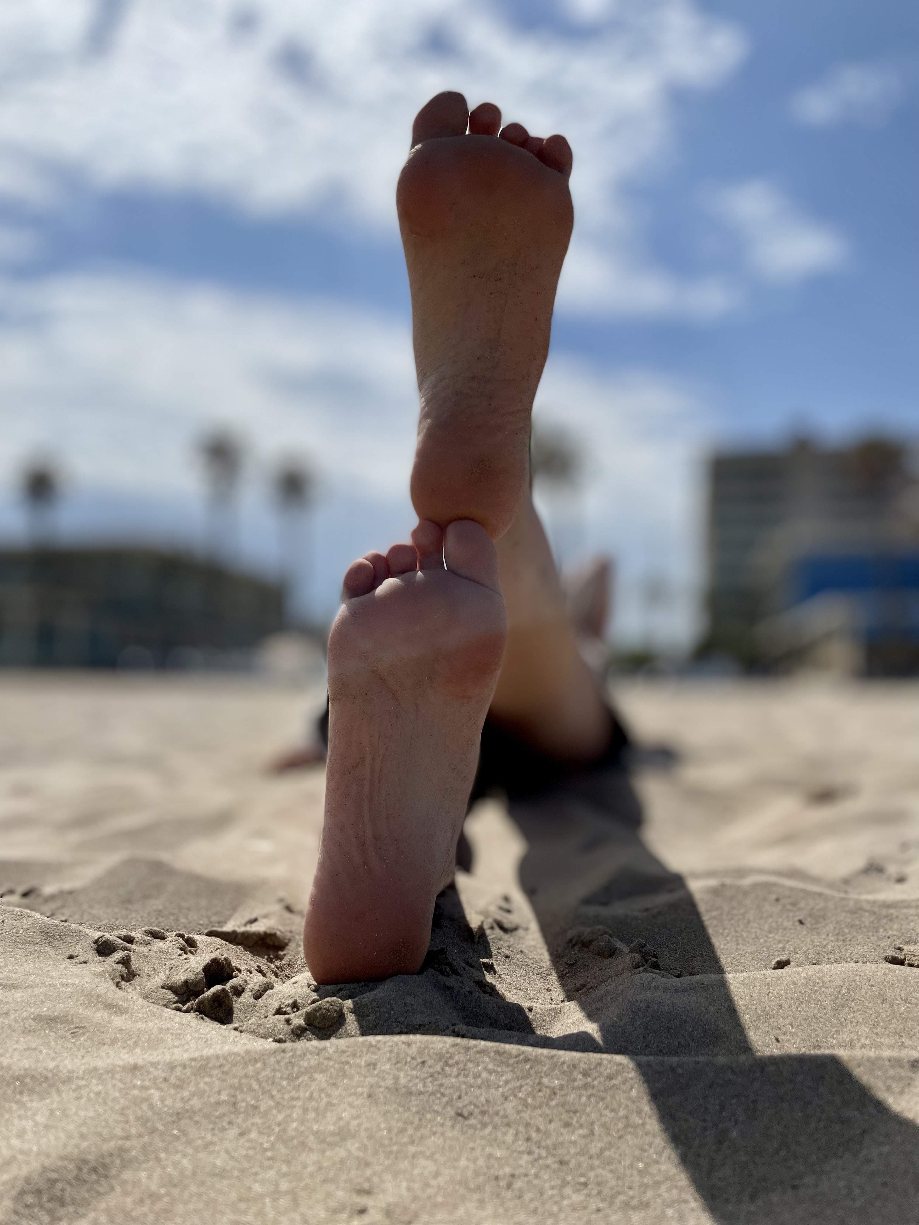 The Daily Feet