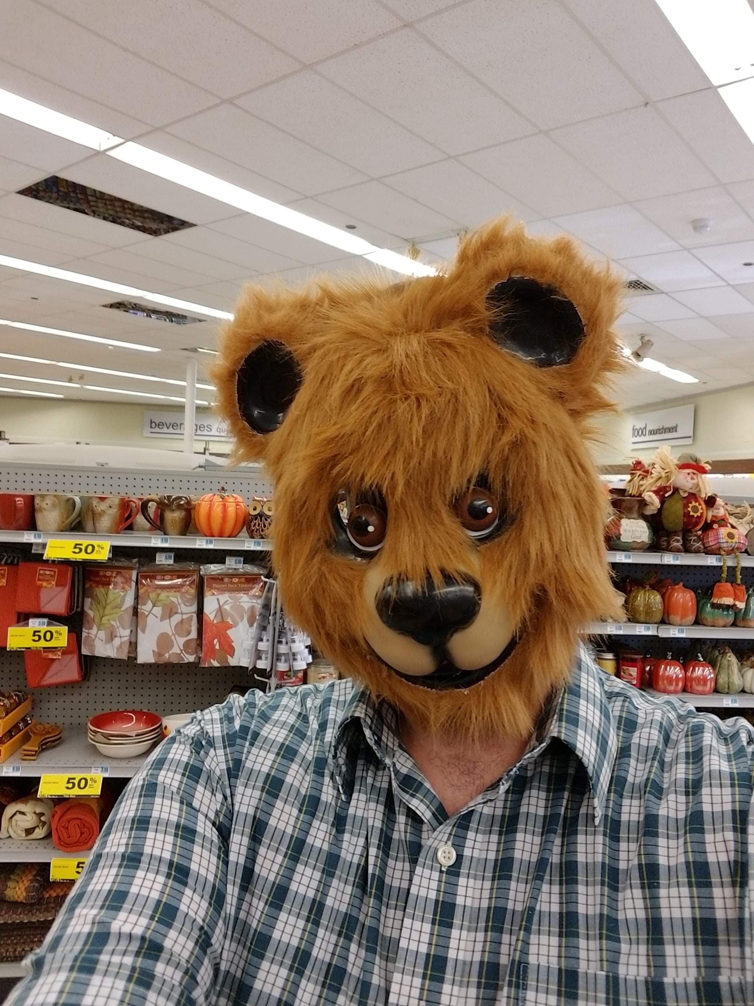 Half Bear Half Dog