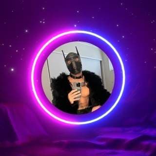 Pup_Knightly
