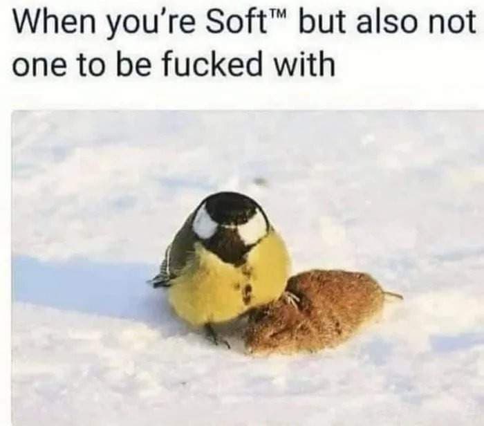 C.T.O