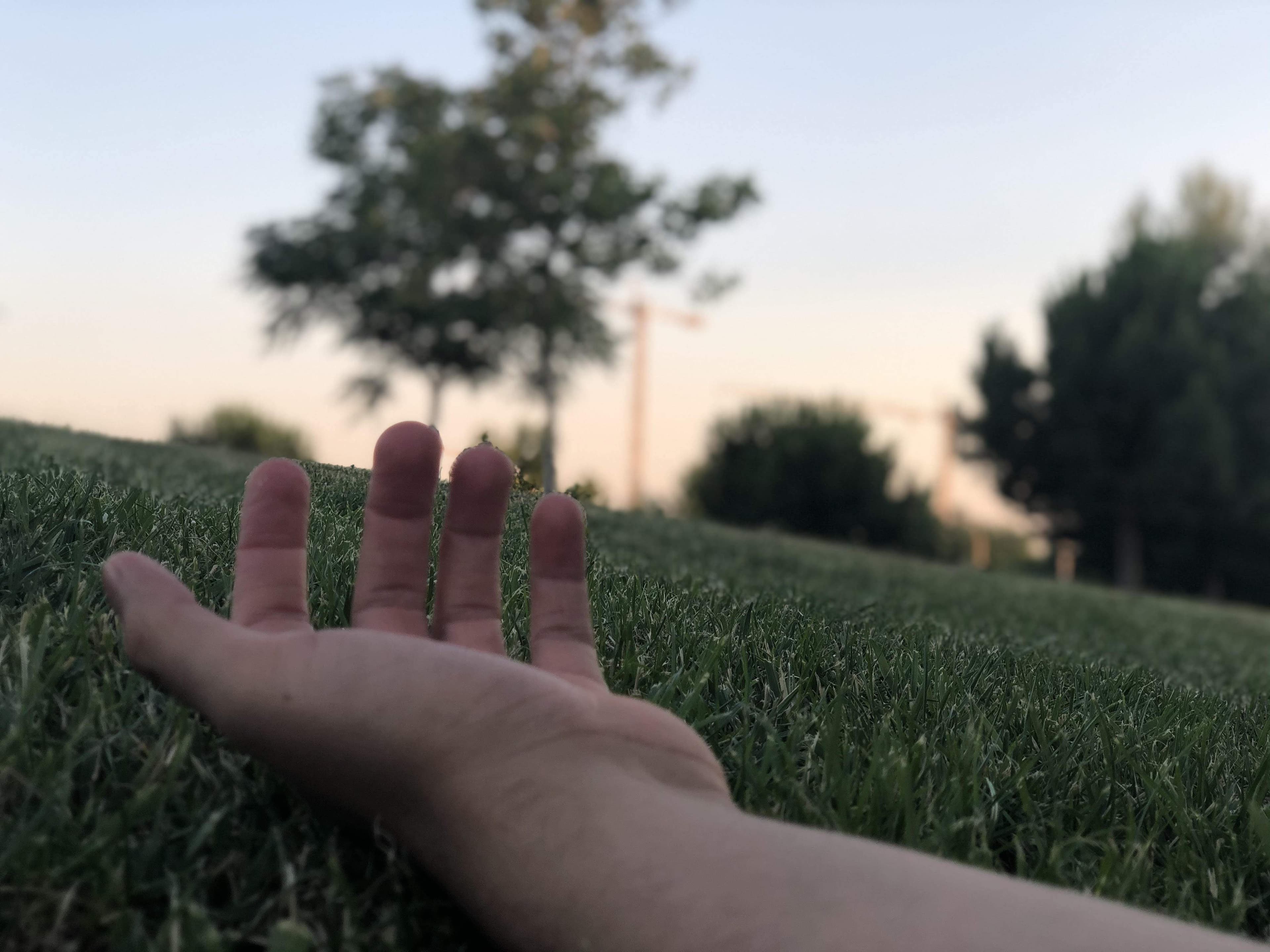 HairyLegPlay