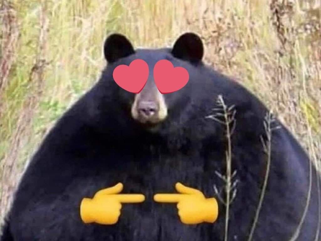 JB, the Jawbreaker Bear