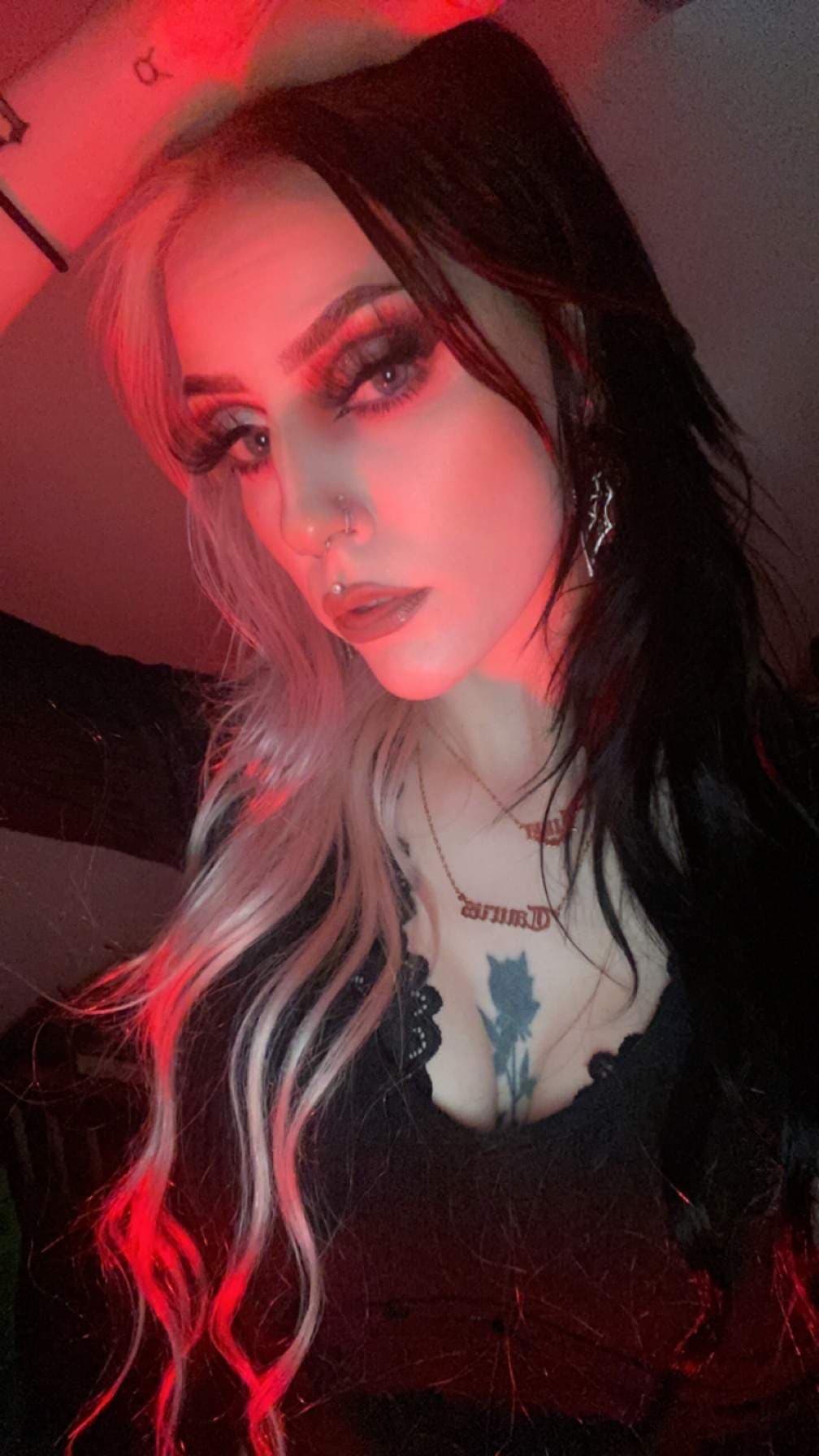 ♡ venus (´｡• ω •｡`) ♡