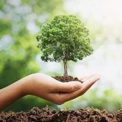 Mother Earth