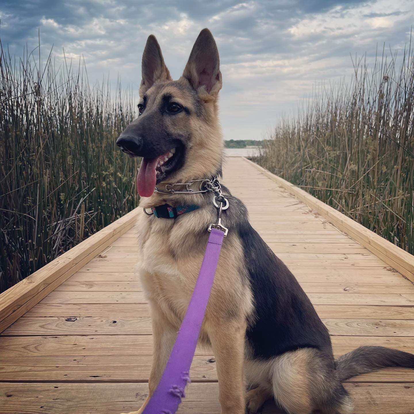 Míla