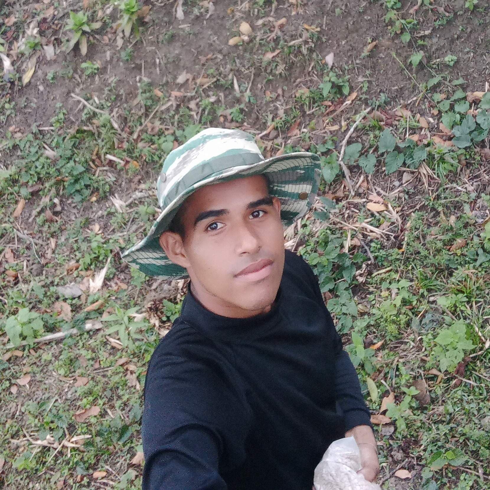 Oso Miguel