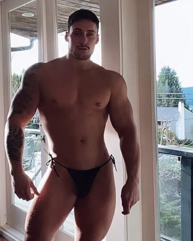 Hulky_beefcake