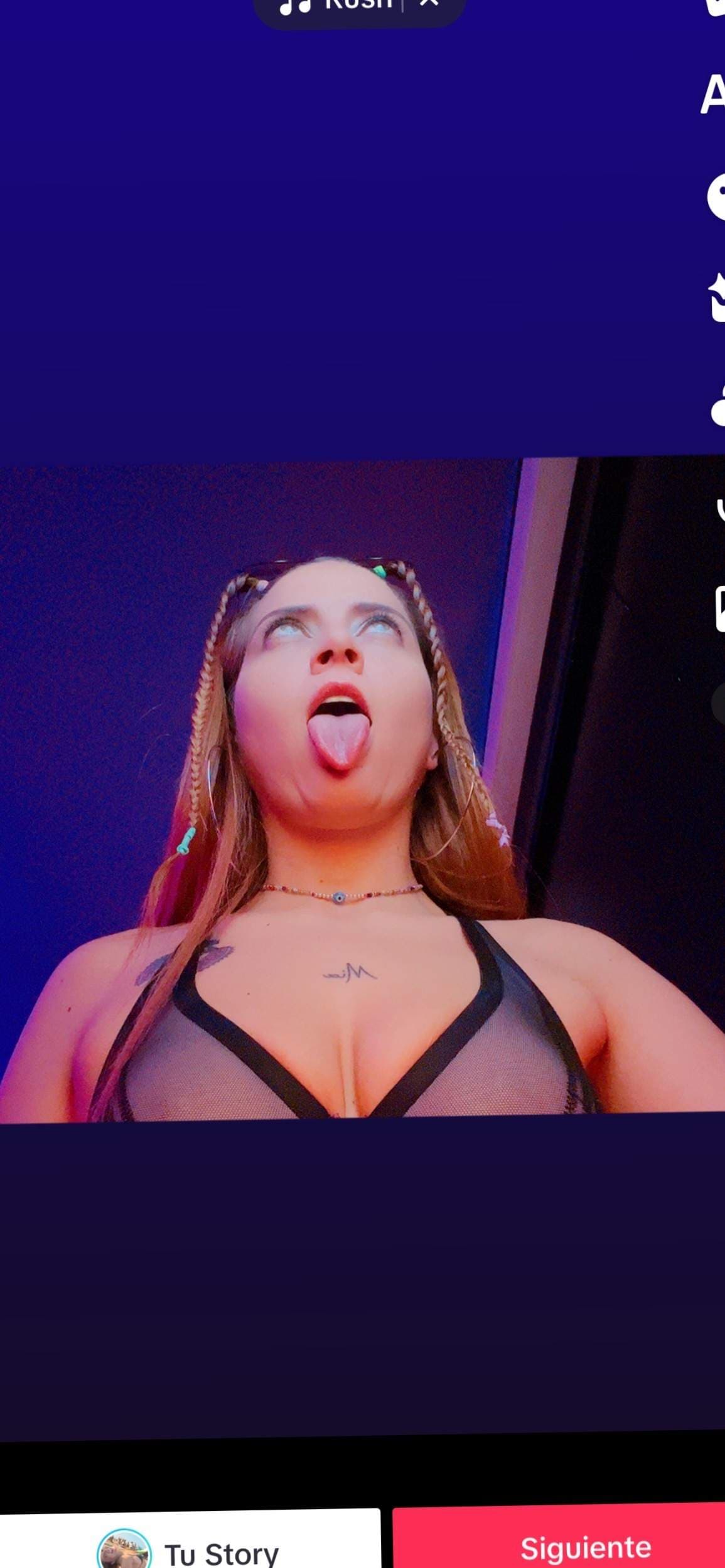 Zaramontoyareal