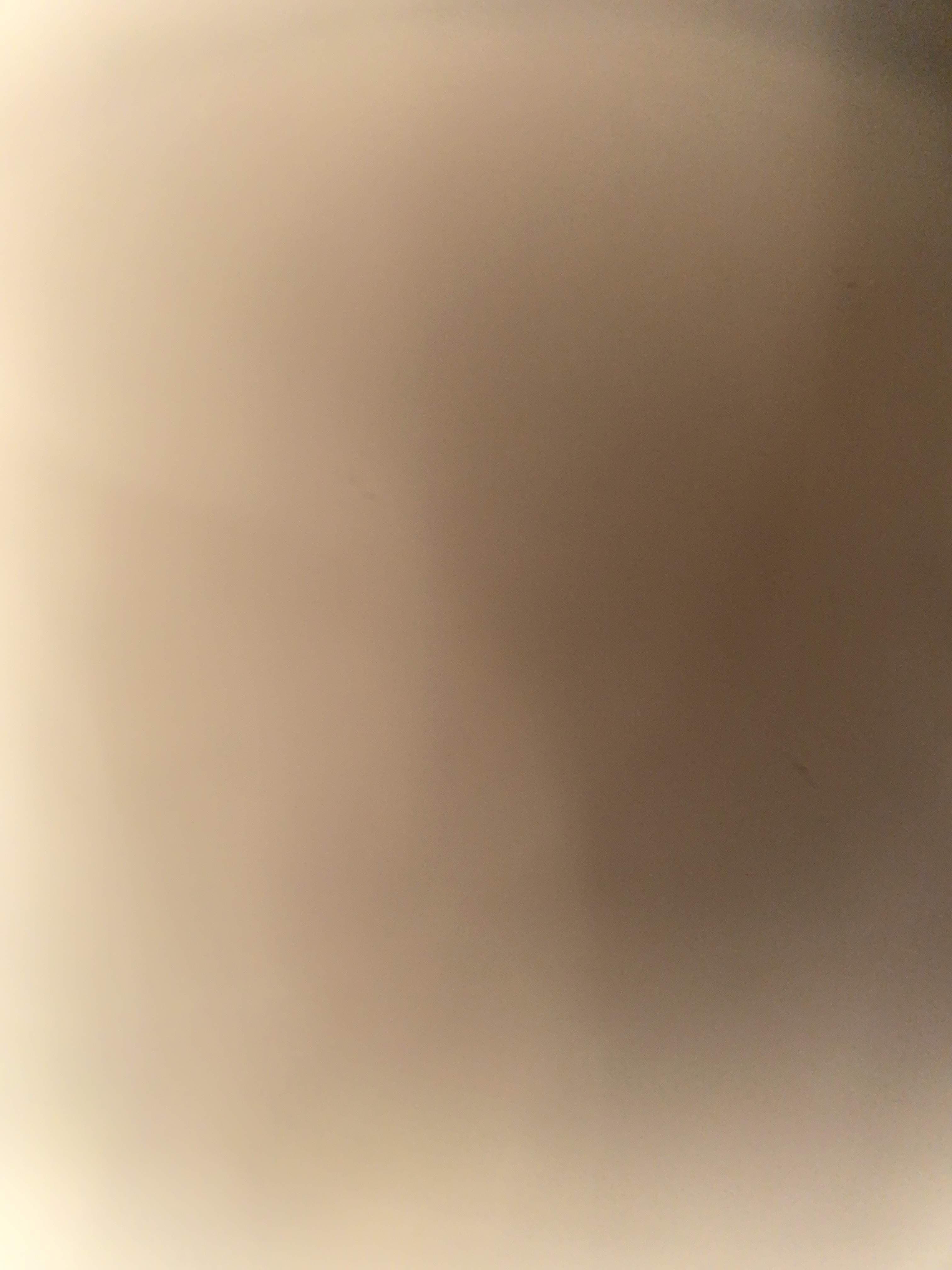 Bob