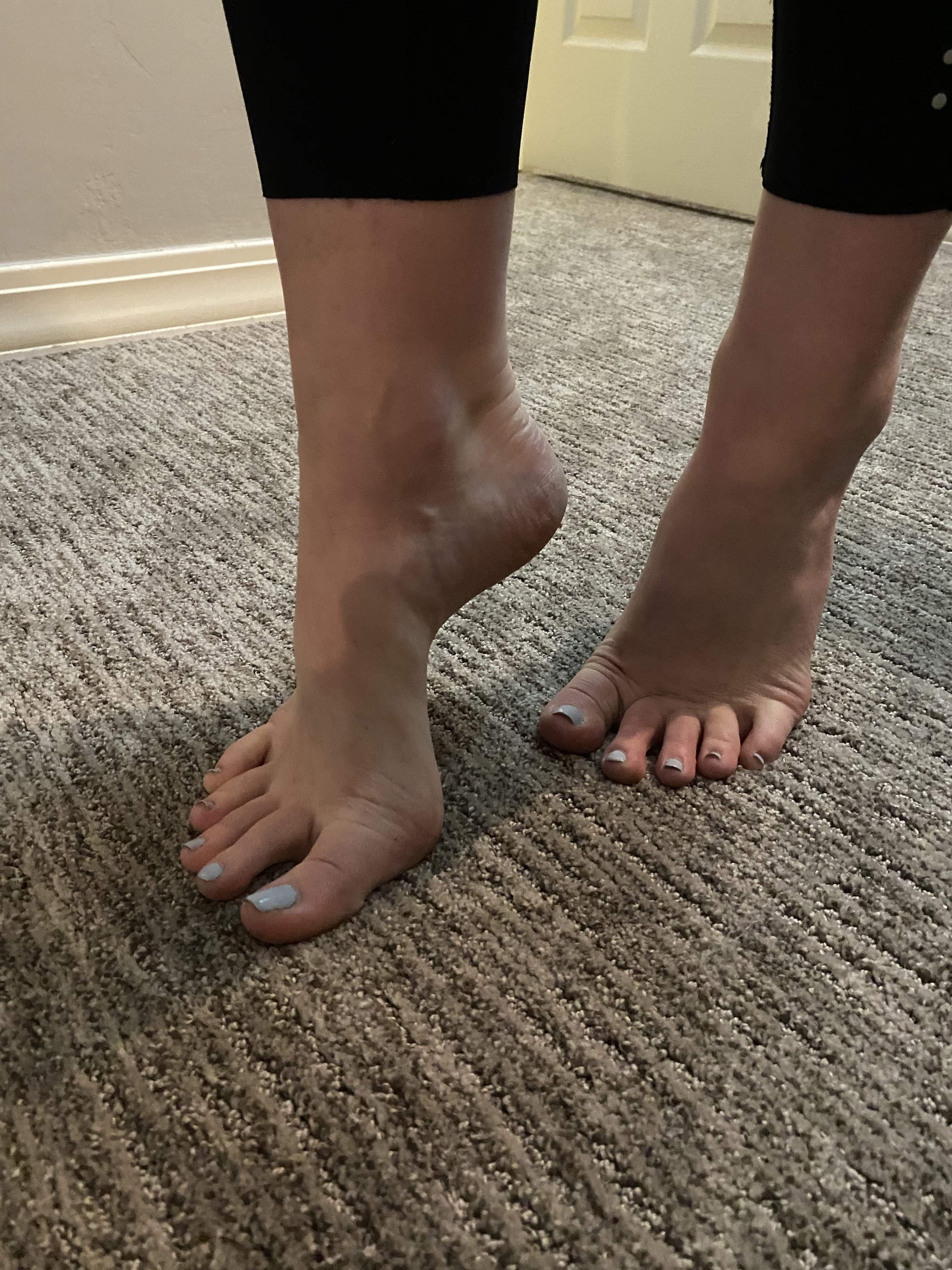 Anna’s Arches