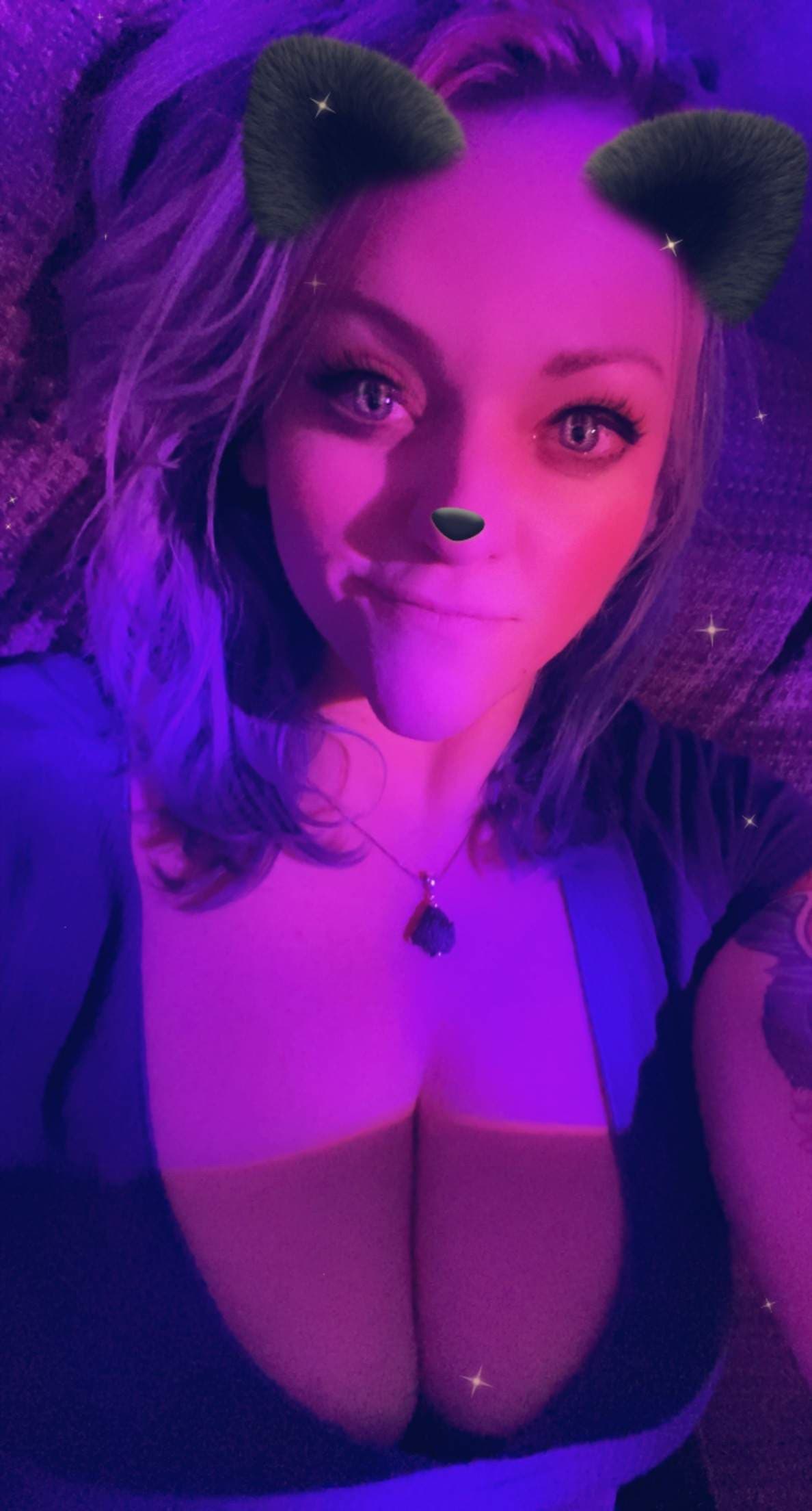 Kitten